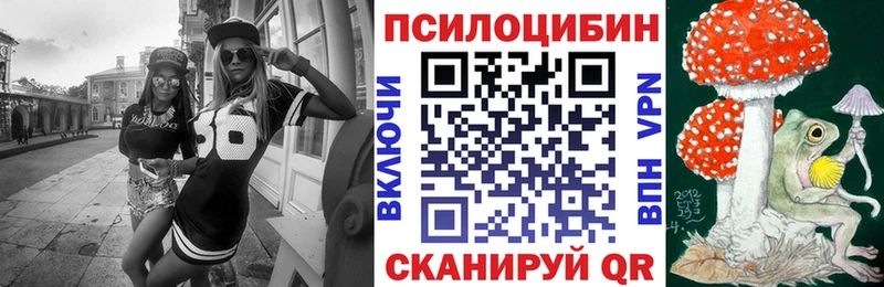 кракен как войти  Чистополь  Псилоцибиновые грибы GOLDEN TEACHER 