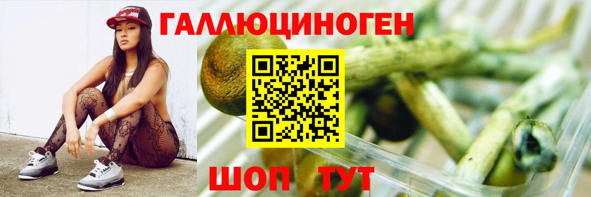 Псилоцибиновые грибы Cubensis Чистополь